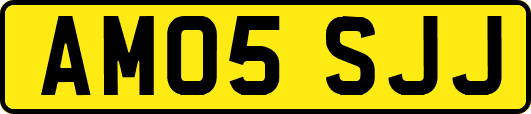 AM05SJJ
