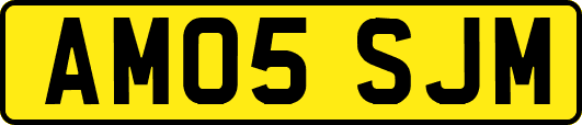 AM05SJM