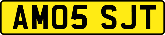 AM05SJT