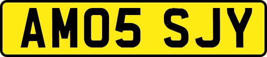 AM05SJY