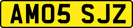 AM05SJZ