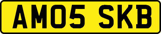AM05SKB