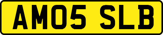 AM05SLB