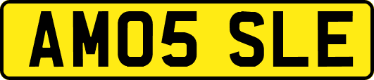 AM05SLE