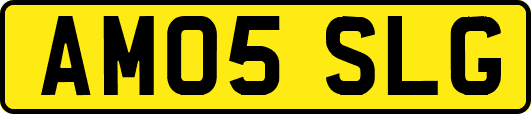 AM05SLG