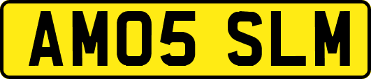 AM05SLM