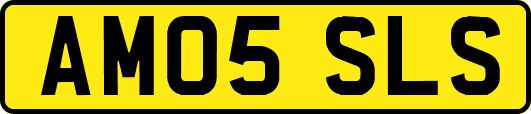 AM05SLS