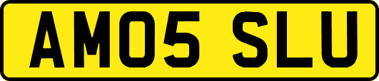 AM05SLU