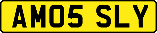 AM05SLY