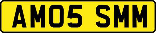 AM05SMM