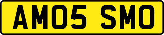 AM05SMO