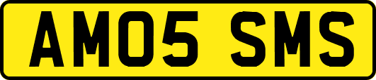 AM05SMS