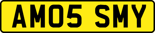 AM05SMY