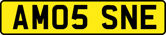 AM05SNE