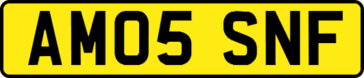 AM05SNF