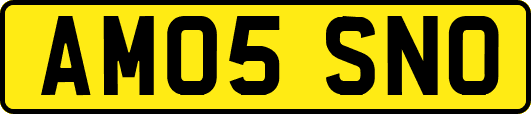 AM05SNO