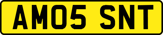AM05SNT