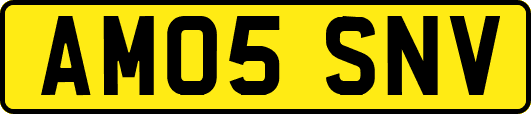 AM05SNV