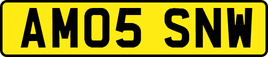 AM05SNW