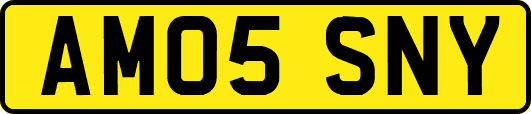 AM05SNY