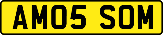 AM05SOM