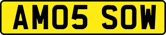 AM05SOW