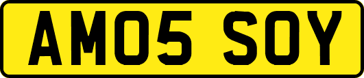 AM05SOY