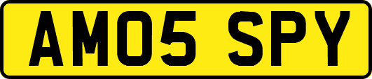 AM05SPY