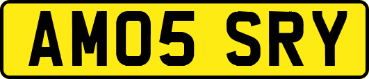 AM05SRY