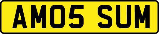 AM05SUM