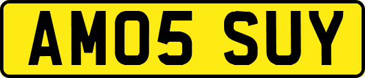 AM05SUY