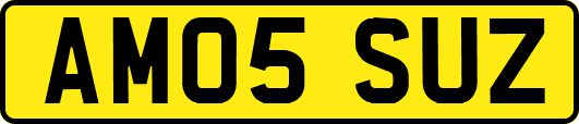 AM05SUZ