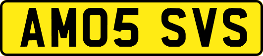 AM05SVS
