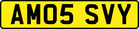 AM05SVY