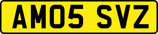 AM05SVZ