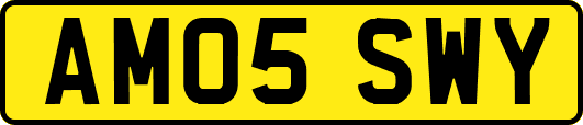 AM05SWY