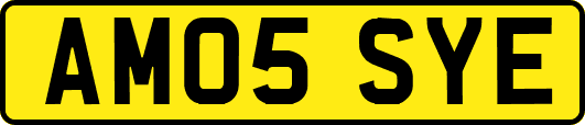 AM05SYE