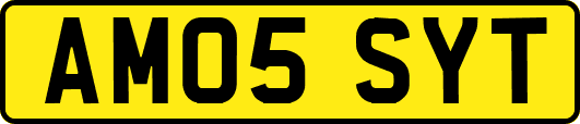 AM05SYT