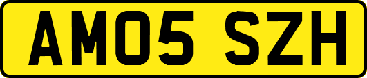 AM05SZH