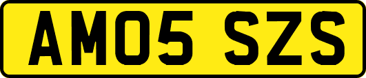 AM05SZS