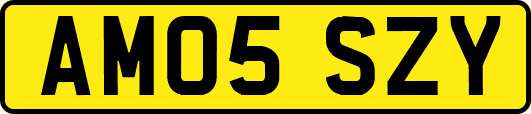 AM05SZY
