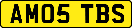 AM05TBS