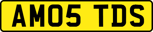 AM05TDS