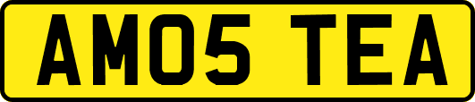 AM05TEA