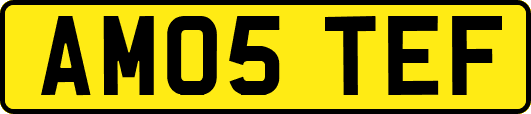 AM05TEF