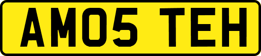 AM05TEH