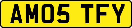 AM05TFY