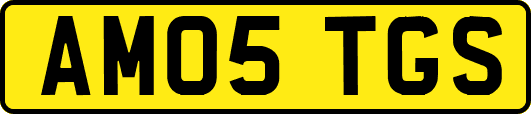 AM05TGS