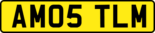 AM05TLM