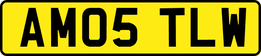 AM05TLW